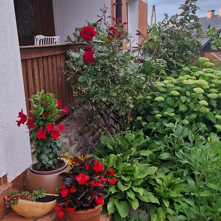 Apartment U Agnieszki - Mazury